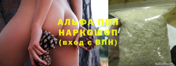 PSILOCYBIN Алзамай