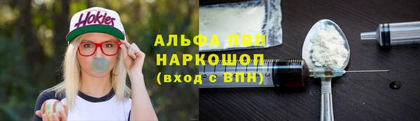 PSILOCYBIN Алзамай