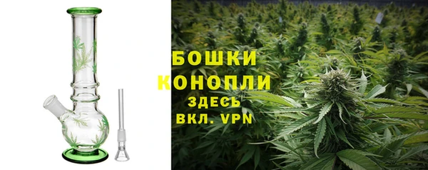 PSILOCYBIN Алзамай
